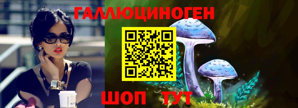 Электросталь  Псилоцибиновые грибы Magic Shrooms  Вход с VPN 