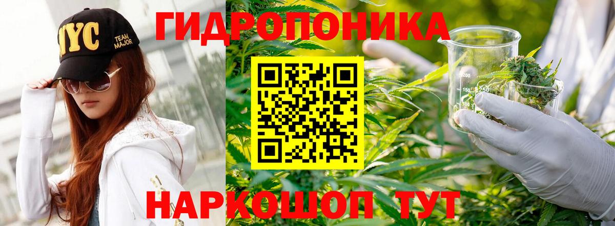 Бошки Шишки MAZAR  Конопля семена  Электросталь  Вход с VPN 